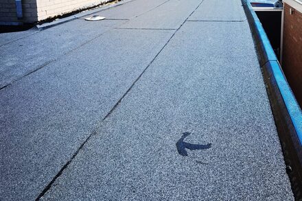 img_20220812_130557_resized_20220816_102839083